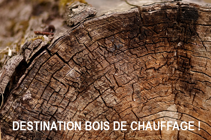 Traitement pr&eacute;ventif des gr&ucirc;mes et bois aviv&eacute;s. Anti gerce, anti fentes, anti bleuissement, anti noircissement. Pr&ecirc;t &agrave; l&rsquo;emploi. iBiotec BIO PROTECT 450. Traitement bois. Anti gerce bois. Anti fentes bois. Anti bleuissement bois. Anti noircissement bois. Transformation du bois. Premiere transformation du bois